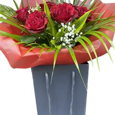 7 Exploring Red Roses