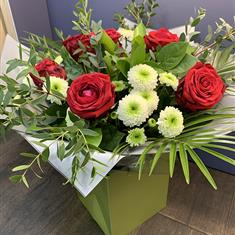 6 Red Naomi Roses 