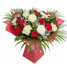 Red and White Roses 