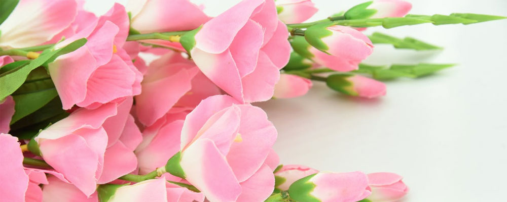 Sel Florist