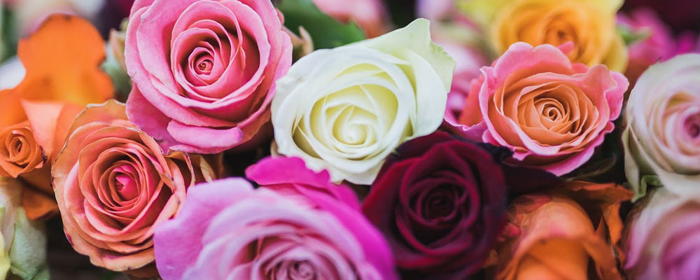 Sel Florist